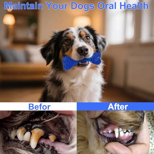 Dog Toys 15 Pack for Teeth Cleaning and Fun, Puppy Teething Chew Toys Interactive Rope Squeaky Treat Balls & Rubber Tous Bulk– Variety Dog Gifts Set Reduce Anxiety & Save Furniture - color: Blue