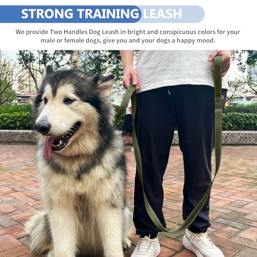 Strong Heavy Duty Dog Leash - 5ft Reflective Nylon Training Leash with Soft Padded Double Handle & Auto Lock Frog Clip - Safety Traffic Control for Large Medium Small Dogs No Pull Walk Army Green,5ft - color: Army Green, size: 5FT x 1" x 2.8MM