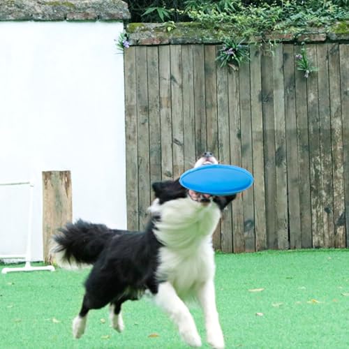 Nonslip Dog Flying Discs Chew Outdoor Toy Rubber Soft Training Exercise for Active Pet