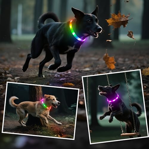 HIGO RGB LED Dog Collar Light - USB Rechargeable Light Up Dog Collars, Safety LED Dog Necklace for Your Dogs Walking at Night (Multi-Color) - color: Multi Color