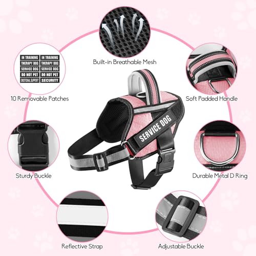 Service Dog Vest Harness and Leash Set, Animire in Training Dog Harness with 10 Dog Patches, Reflective Dog Leash with Soft Padded Handle for Small, Medium, Large, and Extra-Large Dogs - color: Pink, size: XXS