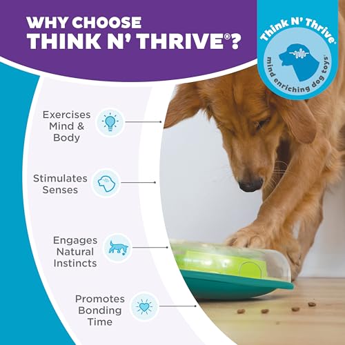 Outward Hound by Nina Ottosson Wobble Bowl Slow Feeder Dog Puzzle, Level 1 Beginner, 11.6 inches x 3.5 inches, Multicolored - color: Wobble Bowl (Green)