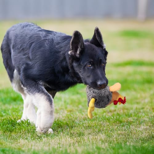 Squeaky Stuffed Dog Toys – Plush Chicken Chew Toy for Small, Medium & Large Dogs, Cute & Funny Interactive Puppy Toy with Crinkle Paper & Double Squeakers - style: Chicken