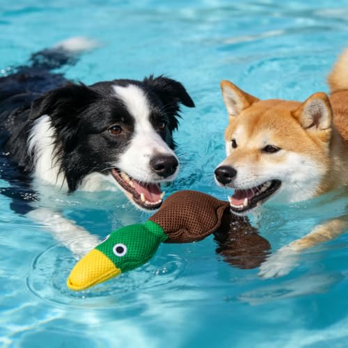 EXPAWLORER Floating Dog Water Pool Toys - 2 Pack Stuffed Duck Dog Toys Long, Pet Summer Essentials for Fetch & Training, Built-in Squeaky Ball Loud Sound for Small Medium Large Breeds, Yellow