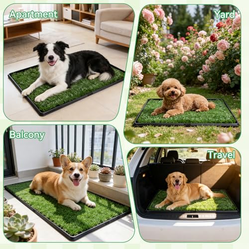 Artificial Grass Potty Pad for Dogs, 20x30 Inch Indoor Dog Litter Box with Tray, 2 Reusable Turf Pads & Washable Pee Pad, Portable Pet Potty System for Balcony, Patio, Apartment - size: Large-2 Grass Pad with Changing pad