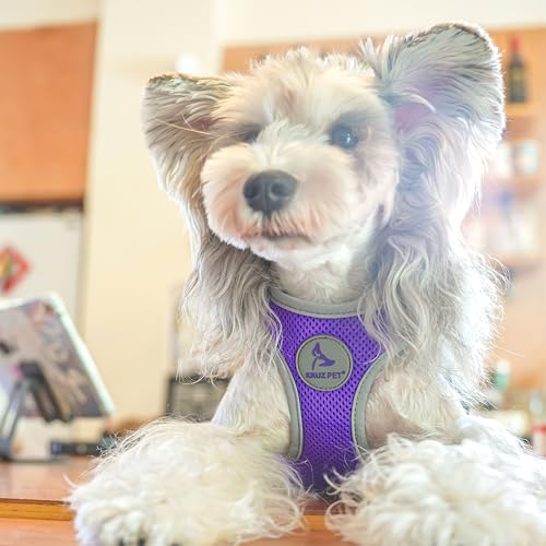 Kruz Dog Harness (Chest 13.5"-14", Weight 4–6 lbs) Athletica Adjustable Heavy Duty No Choke Puppy Vest for Small Dogs Lightweight Air Mesh, Reflective, Puppy Essentials – Amethyst, X-Small - color: Amethyst, size: X-Small