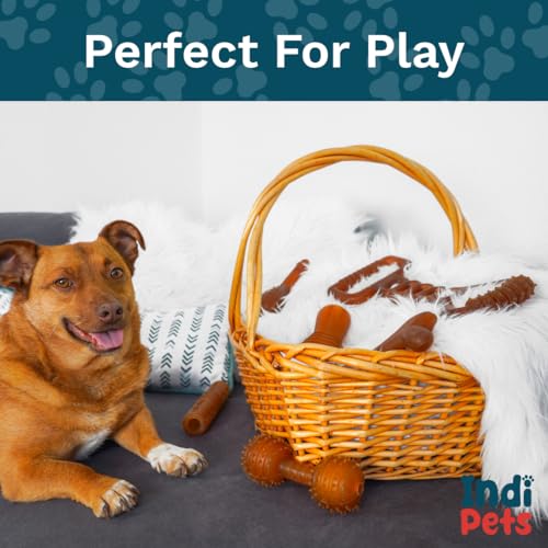 INDIPETS Ring 'O' Ring Fetch & Chew Toy for Dogs: Durable, Safe, Plant-Derived Toy Made with 100% Natural Rubber | Natural (PN: 60001)