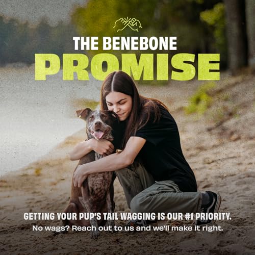 Benebone Natural Rubber Cone Interactive Enrichment Treat Dispensing Dog Toy - Slow Feeder - Great for Meals and Boredom - size: 1 Pack, style: Cone