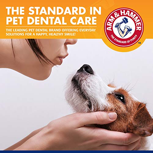 Arm & Hammer for Pets Tartar Control Dog Dental Kit, Enzymatic Toothpaste with Toothbrush and Fingerbrush, Baking Soda Formula Reduces Plaque and Tartar, Safe for Puppies, Beef Flavor, 3 Pc - 48 Pack - size: 2.5 Ounce (Pack of 48)