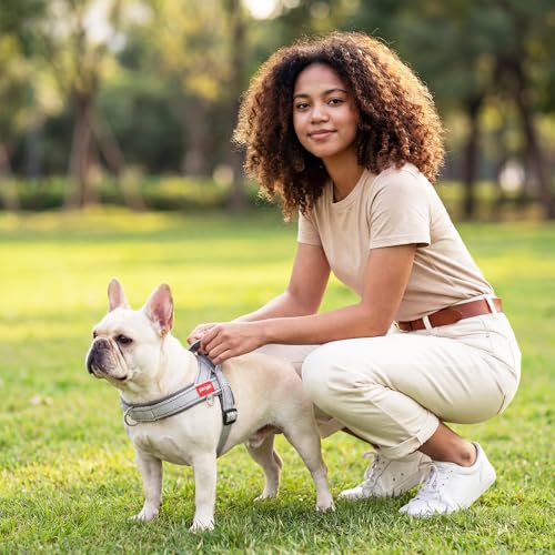 No Pull Dog Harness with Handle, Reflective Dog Vest, Light Grey, M | Adjustable, Front Leash Clip, Safety Lock Buckle, Breathable Mesh Padded, Quick Fit, for Boston Terrier & Small Dogs - color: Light Grey, size: Medium