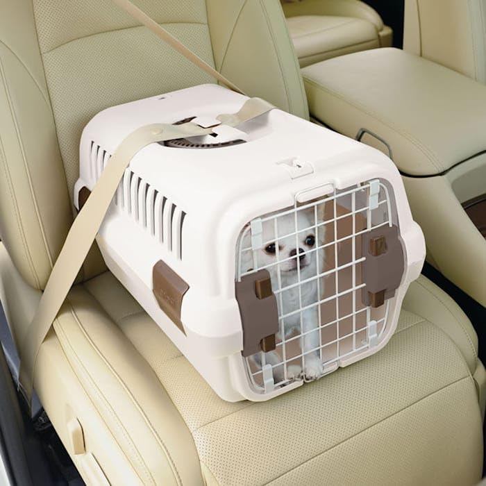 Richell USA - Pet Travel Carrier Small (80027) (White and Beige)