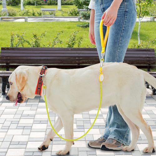 Dog Leash,Heavy Duty Dog Rope Lead with Soft Neoprene Padded Handle & 360° Swivel Clip for Medium Large Dogs (0.8cm*1.3/1.6m) - color: light green, size: 0.8*160cm
