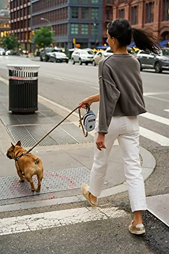 Small Treat Pouch Dog Treat Dispenser with Waste Bag Dispenser for Leash Walking, Portable, Poop Bag Holder, Hand Free, Gray - color: Gray