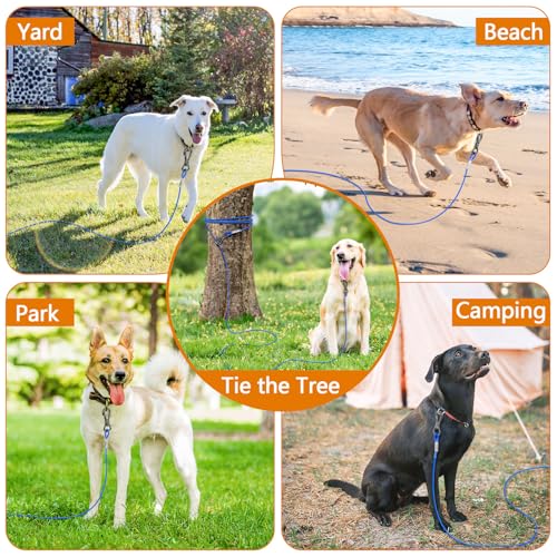 XiaZ Dog Tie Out Cable, Heavy Duty Dog Chains for Outside with Lockable Hook, Pet Runner Cable Leads for Yard, Dogs Line Tether for Small Medium Dogs Up to 60 LBS (10FT, Blue)