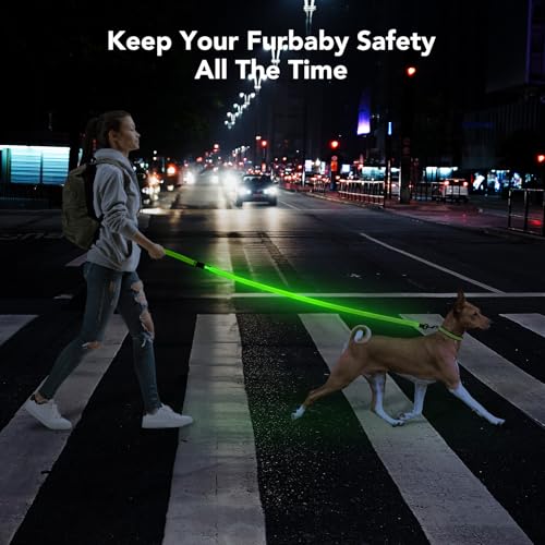 Colaseeme LED Light Up Dog Leash, USB Rechargeable (4FT,Green-New) | Glow in dark, reflective, USB-C rechargeable, bright LED for night safety, fits small to large dogs - color: Green (New), size: 4FT