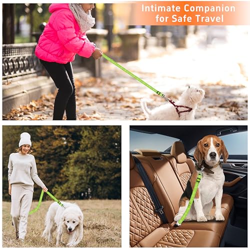 Seyezo Dog Car Seat Belt - 3 Piece Set Retractable Dog Harness with Adjustable Reflective Seatbelt for Vehicle Headrests - Heavy Duty & High Elastics - Green - color: 2PCS Green
