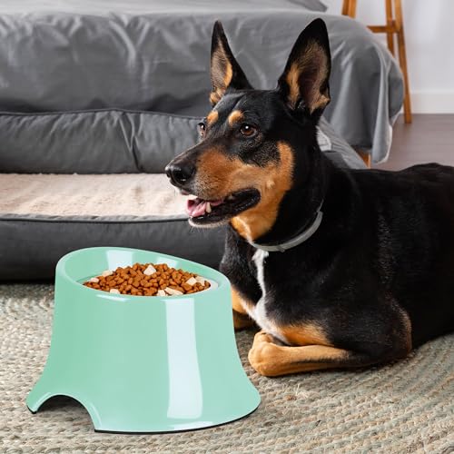 Tilted Elevated Dog Bowls Non-Slip & Non-Spill Pet Feeder with Elevated Detachable Melamine Stand, High Capacity Tilted Dog Bowl for Medium Small Size Dogs M/2 Cup Green - color: Green, size: M/2 Cup