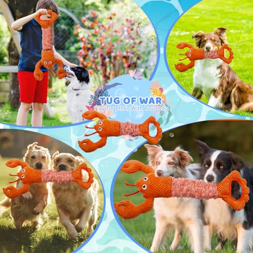 YZHDUXIU Tug of War Dog Toy, Squeaky Dog Toys Interactive Lobster Puppy Toys with Crinkle Paper to Keep Them Busy - color: Orange Lobster