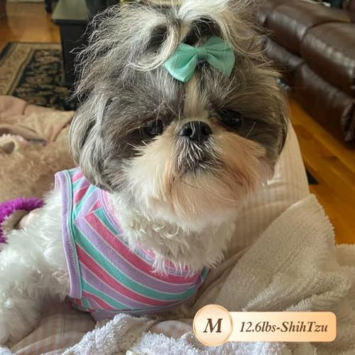 KYEESE 2Pack Dog Shirt, Soft Striped Dogs T Shirts, Lightweight Doggie Tank Top Cat Clothes, Sleeveless Dog Shirt for Small Dogs, Stretchy Pet Vest, Green, Medium - color: 05# 2Pack (Green+Striped), size: Medium (7-13lbs)