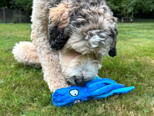 Octopus Dog Toy, No Stuffing Plush Squeaky Crinkle Toy to Keep Dogs Busy, Interactive Chew Toy for Puppies Small Medium Large Dogs, Blue, Tail Town - color: Blue