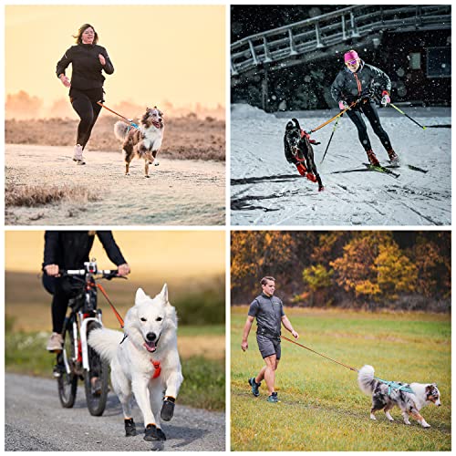Non-stop Dogwear Bungee Dog Leash with Shock Absorption (2.0 m) - Elastic Dog Leash for Sports Running, Biking & Hiking - Hands Free Leash with Twistlock Safety Carabiner for Adventures, Black/Orange - size: 2.0 m / 23 mm