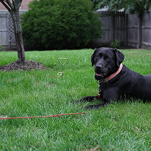 BV Dog Tie Out Cable 30 Feet - Heavy Duty Dog Lead Up to 125 Pounds - Reflective & Rust-Free with Quick Release Swivel Clips & 360° Rotating Clasp - Tangle-Free Dogs Runner for Yard (Red, Single) - color: 125lbs/ 30ft/ Red, style: Single