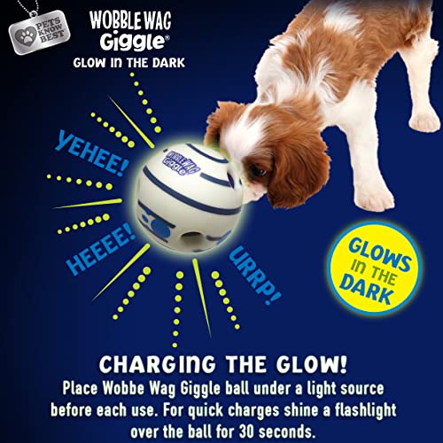 Wobble Wag Giggle Ball 2 Pack- Interactive Dog Toy, Fun Giggle Sounds When Rolled or Shaken, Pets Know Best, 1 Original & 1 Glow in The Dark Ball - style: 2 Pack- Original & Glow
