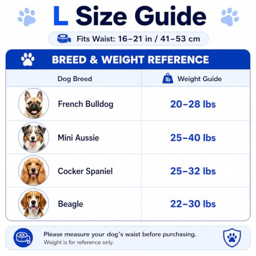 Male Dog Diaper Disposable Wraps for Waist 16–21 in,10 Count Leakproof, Super Absorbent, Adjustable Fit, Wetness Indicator, L - size: Male 10ct Waist 16~21in(L)