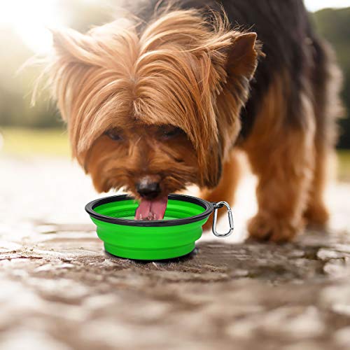 Kytely Large Collapsible Dog Bowls 2 Pack, 34oz Foldable Dog Travel Bowl, Portable Pet Water Food Bowl with Clasp, Pet Cat Feeding Cup Dish for Traveling, Walking, Hiking (Blue+Green) - color: Green & Blue