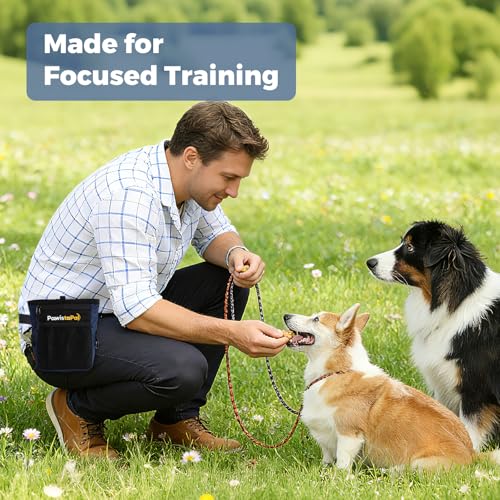 Dog Treat Pouch for Pet Training, One-Hand Magnetic Closure, Hands-Free Treat Bag with Silicone Liner, No Mess No Smell - color: Black