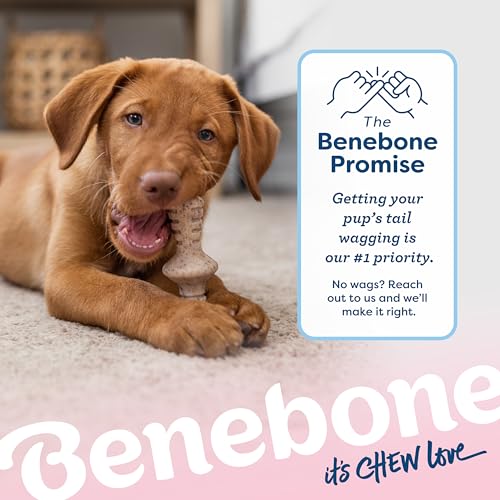 Benebone Puppy 2-Pack Maplestick/Zaggler Durable Dog Chew Toys for Gentle Chewers, Real Bacon, Real Maplewood, Made in USA, Tiny - size: Puppy Tiny (2-Pack)