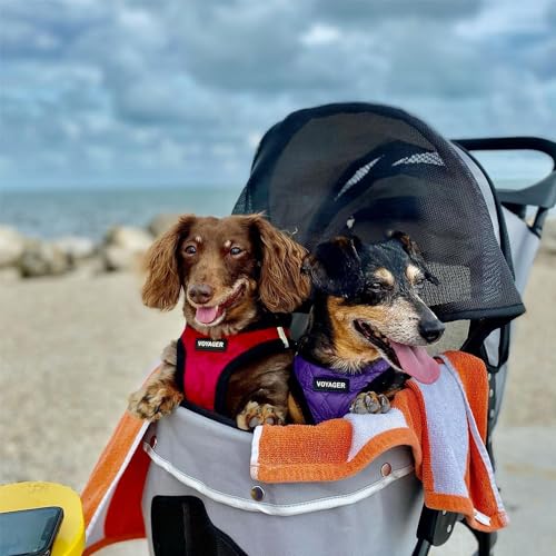 Best Pet Supplies Voyager Step-in Plush Dog Harness - Soft, Step in Vest Harness and Reflective Dog 5 ft Leash Combo with Neoprene Handle for Small and Medium Dogs, Red Plush, M - color: Harness Leash Set (Red Plush), size: M (Chest: 16 - 18")
