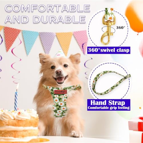 OaaXbbECco No Pull Floral Pattern Puppy Harness,Soft Adjustable Dog Harness Vest and Dog Leash Set No Choke Escape Proof (Green Daisy, XXS) - color: Green Daisy, size: XXS