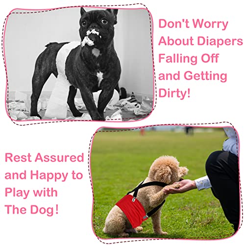 Sanwuta 4 Pieces Dog Diaper Suspenders Male Female Adjustable Pet Diaper Keeper Suspender for Dog Skirt Dress Pet Clothes, 4 Colors