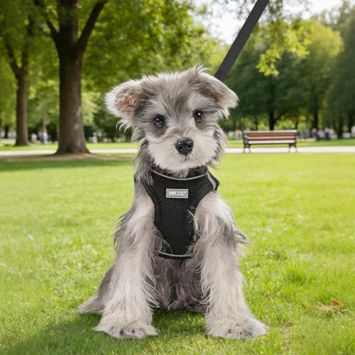 Dog Harness Small Sized and Leash Set, Step in Soft Light Puppy Vest, Breathable Mesh Pet Harness, Reflective for Safe Easy Walking. - color: Black, size: Large (Pack of 1)