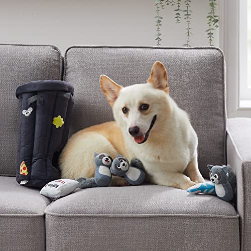 Outward Hound Hide A Raccoon Plush Dog Toy Puzzle - color: Raccoon