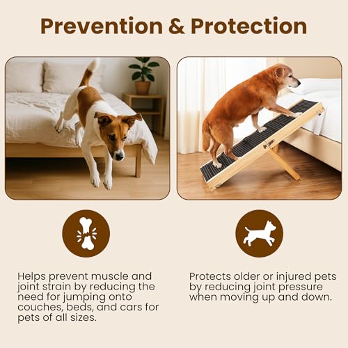 Upgraded 2026 MYUNIK Adjustable Small Dog Ramp 37.8" Foldable Solid Wood Pet Small Ramp with 5 Heights 13.6–21.5", Non-Slip Carpet Handle Ramp for Bed Couch Sofa & Car