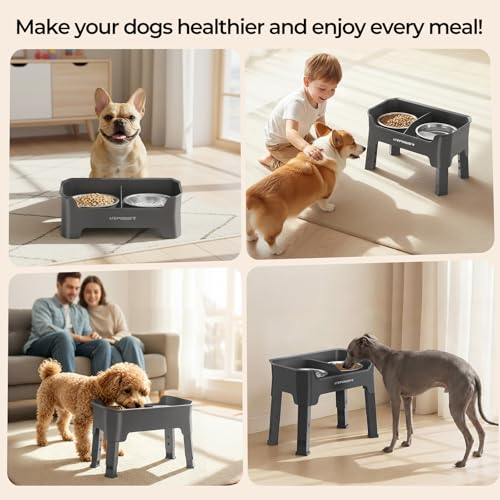 URPOWER Mess Proof Elevated Dog Bowls 4 Height Adjustable Raised Bowl Stand with 2 Stainless Steel Dog Bowls Non-Slip Food and Water Bowl Set for Small Dogs, Grey - color: Grey, size: Small