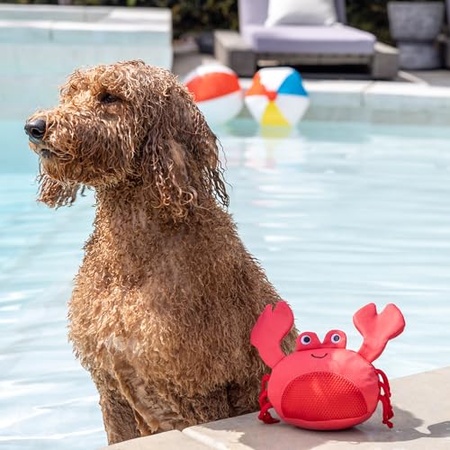 Fringe Studio Claws Floating Dog Toys, Pet Shop Collection (640007) - color: Claws