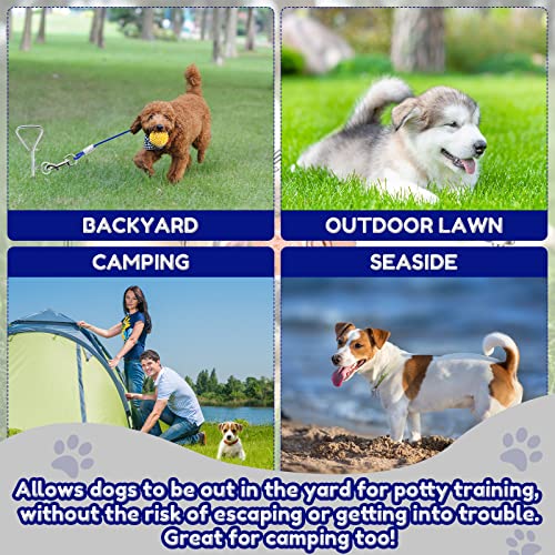 Amylove 2 Set Dog Tie Out Cable and Stake 32ft Leash Chain 16" Spiral Stake Heavy Duty Leash and Stakes for Outside Yard Camping Beach for Medium to Large Dogs up to 125 Lbs(Blue) - color: Blue