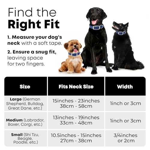 Regal Dog Products Large Blue Dog Collar with Heavy Duty Double Buckle & D Ring | Vinyl Coated, Custom Fit, Adjustable Biothane Dog Collar | Chew Resistant Waterproof Center-Ring Collar for Dogs - color: Blue, size: Large