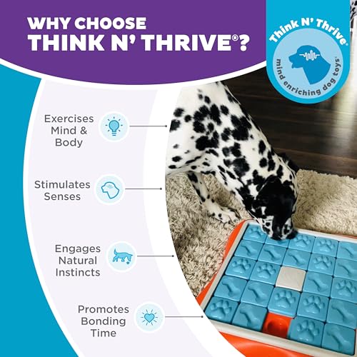 Outward Hound by Nina Ottosson Challenge Slider – Interactive Dog Treat Puzzle Enrichment Toy, Level 3 Advanced - color: Challenge Slider (Orange, Blue)