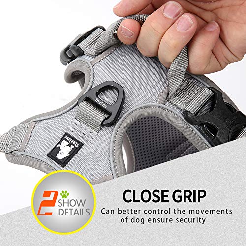 JUXZH Truelove No Pull Dog Harness with Easy Control Handle and 2 Leash Attachments,Reflective Adjustable Pet Vest - color: Gray, size: Medium (Pack of 1)
