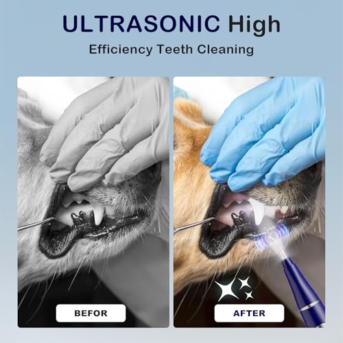 Plaque Remover for Teeth, Pet Ultrasonic Cleaner, Dog Plaque and Tartar Remover with LED Light, Dog Teeth Cleaning Dental Care Kit for Tartar and Stains, Suitable for Dogs and Cats (Blue) - color: Blue