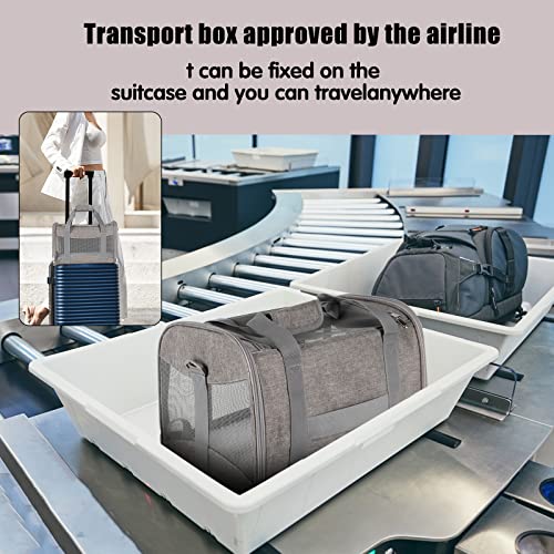 Cat Carrying Case - Pet Carrier Airline Approved, Protable and Breathable Pet Travel Carrier Removable Fleece Pad, Collapsible Cat Carrier Dog Carrier for Medium Cats Small Cats Dogs (X-Large, Grey) - color: grey, size: 20.0"L x 13.0"W x 13.0"H