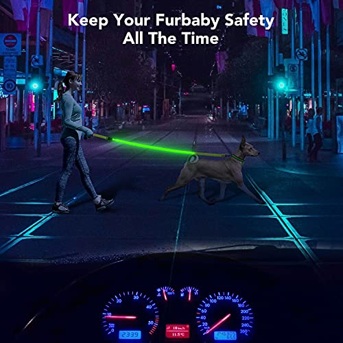 Colaseeme LED Light Up Dog Leash, USB Rechargeable (4FT,Green) | Glow in dark, reflective, USB-C rechargeable, bright LED for night safety, fits small to large dogs - color: Green, size: 4FT