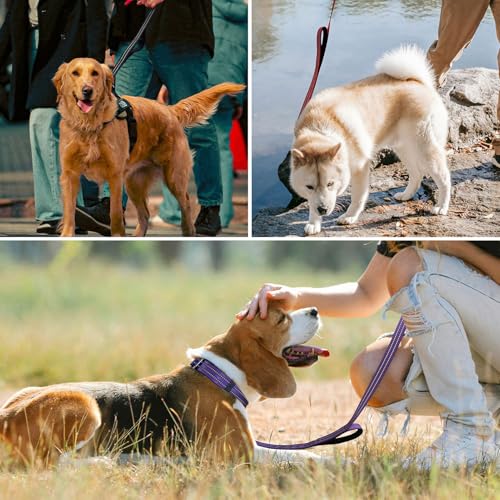 Hikiko 4 FT Heavy Duty Dog Leash with 2 Padded Handles Reflective Nylon Double Handle Dog Leash, Black - color: Black, size: 1 in x 4 ft
