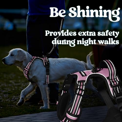 rabbitgoo Dog Harness Small Sized, No Pull Easy On & Off with 3 Buckles Pet Harness, Adjustable Soft Walking Vest with 2 Clips and Handle, Reflective for Small Dogs, Pink, S - color: Pink, size: Small