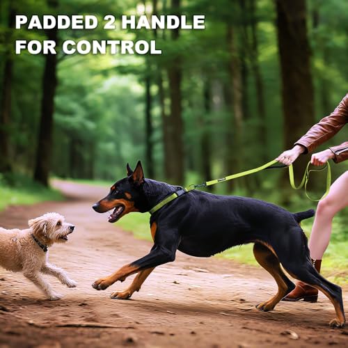 Heavy Duty Double Handle Dog Leash 6 ft Long for Total Control, Padded 2 Handle, Reflective Training Lead for Medium Large Dogs (Green, 6 FT) - color: Green