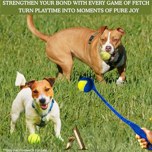 AnNafi® Speed Arm Ball Thrower | Cricket Practice Ball Speed Arm Launcher & Pickup| Ball Dog Thrower | Fetch & Fold Balls Launcher Set | Cricket Practice Equipments (Only Thrower, Blue) - color: Blue, size: Only Thrower